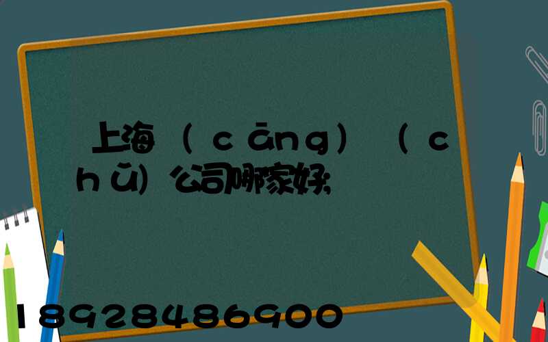 上海倉(cāng)儲(chǔ)公司哪家好