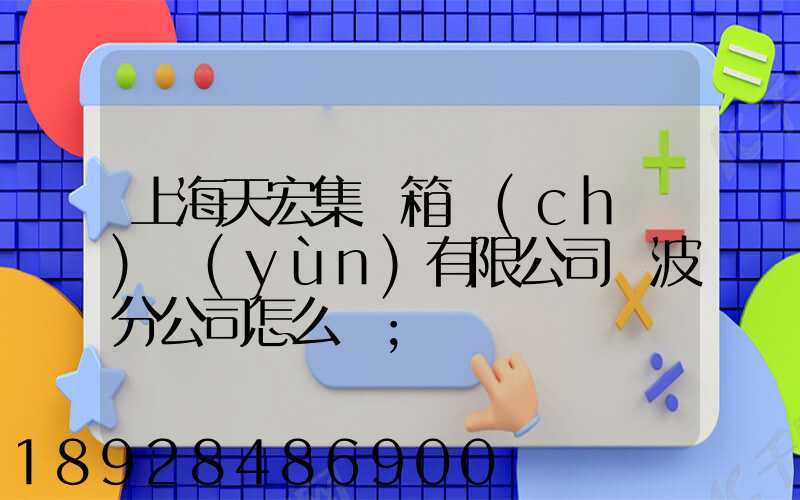 上海天宏集裝箱儲(chǔ)運(yùn)有限公司寧波分公司怎么樣