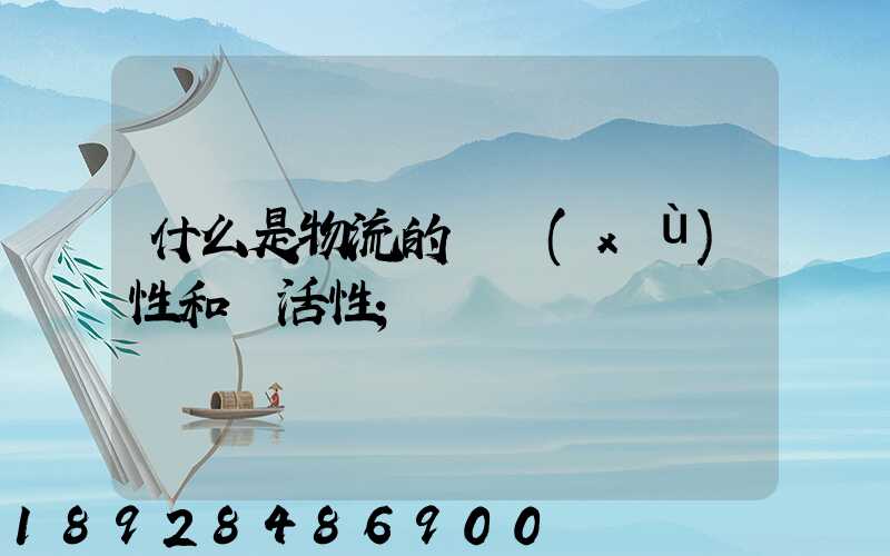 什么是物流的連續(xù)性和靈活性