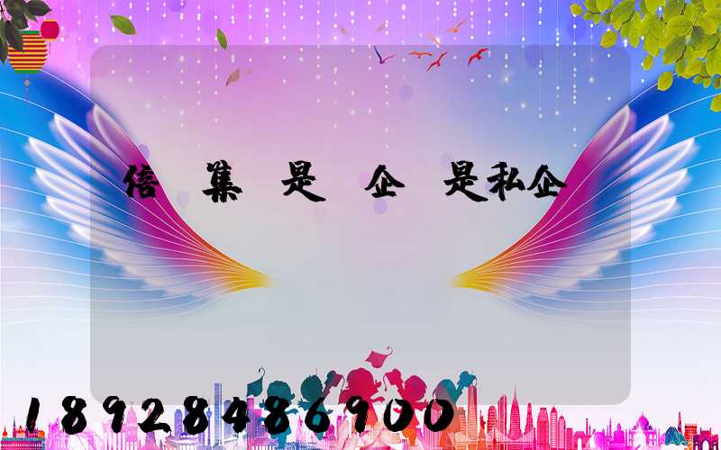 倍豐集團是國企還是私企