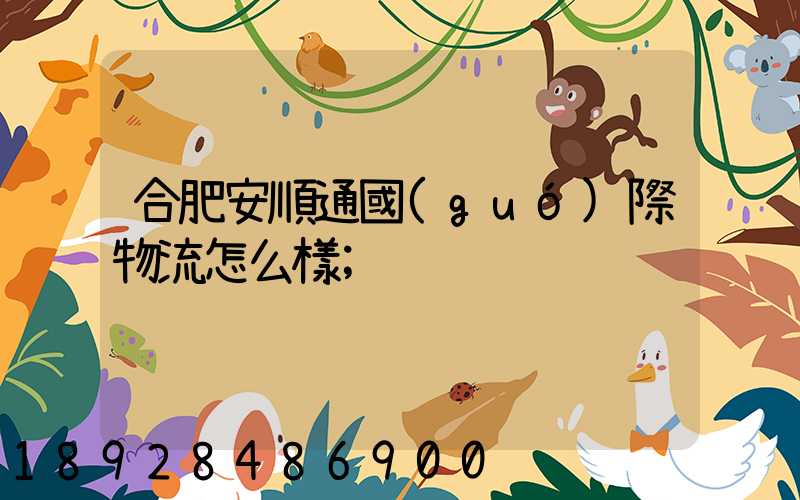 合肥安順通國(guó)際物流怎么樣