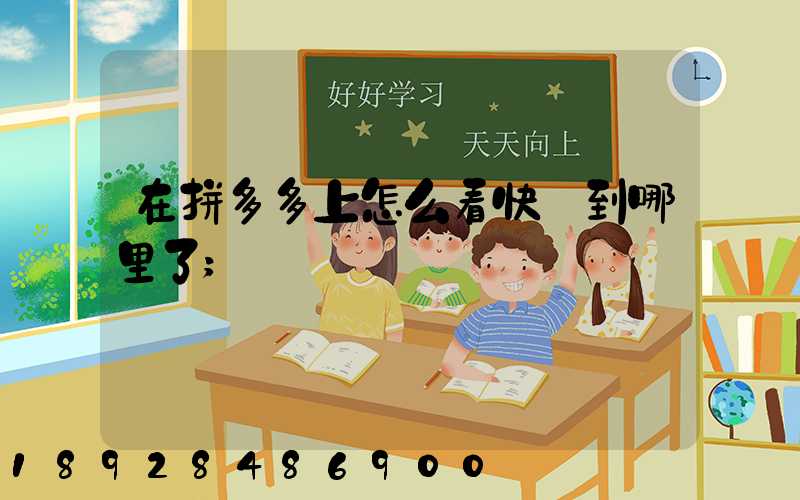 在拼多多上怎么看快遞到哪里了
