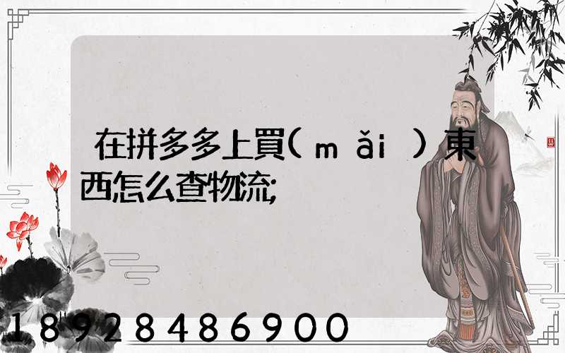 在拼多多上買(mǎi)東西怎么查物流