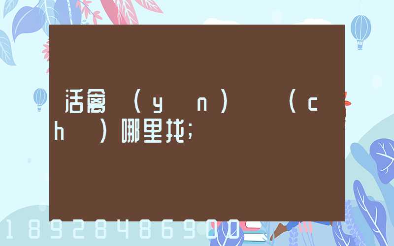 活禽運(yùn)輸車(chē)哪里找