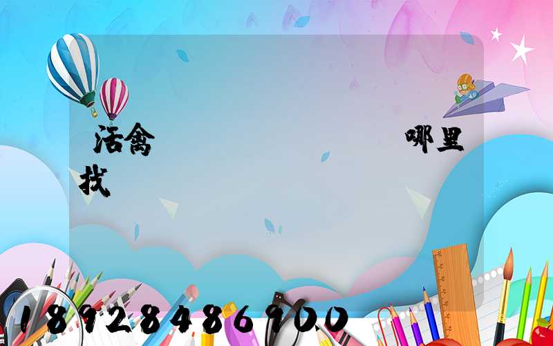 活禽運(yùn)輸車哪里找