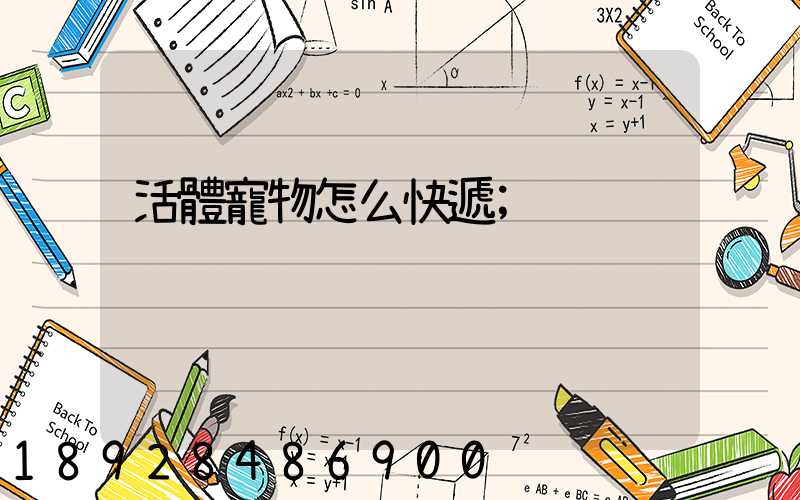 活體寵物怎么快遞