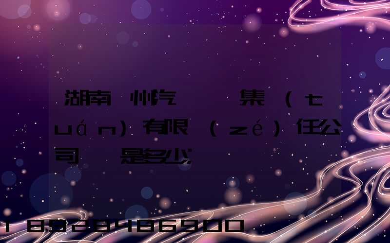湖南郴州汽車運輸集團(tuán)有限責(zé)任公司電話是多少