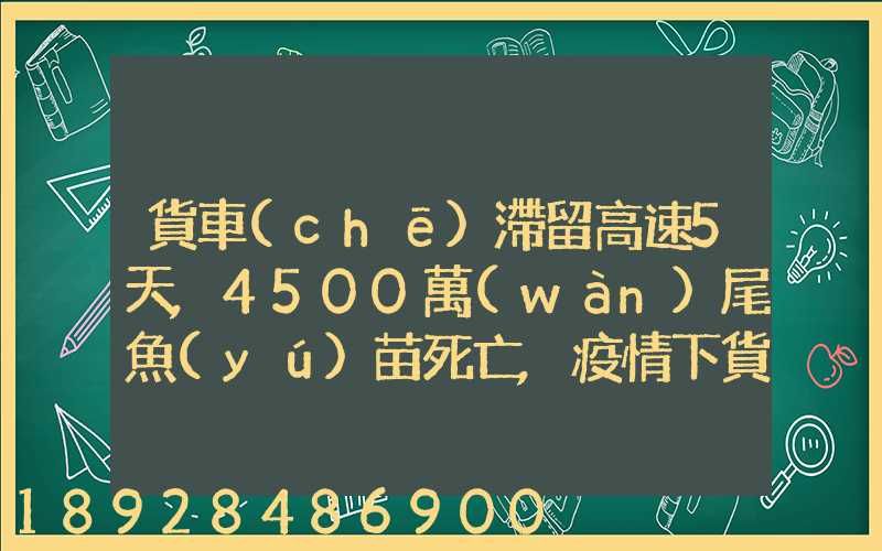 貨車(chē)滯留高速5天,4500萬(wàn)尾魚(yú)苗死亡,疫情下貨車(chē)司機(jī)有多不易