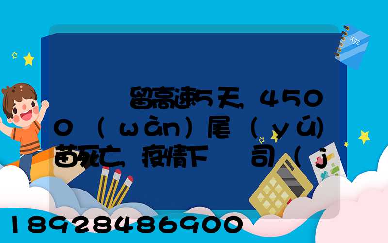 貨車滯留高速5天,4500萬(wàn)尾魚(yú)苗死亡,疫情下貨車司機(jī)有多不易