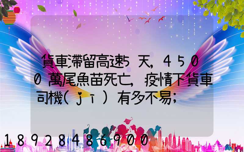 貨車滯留高速5天,4500萬尾魚苗死亡,疫情下貨車司機(jī)有多不易