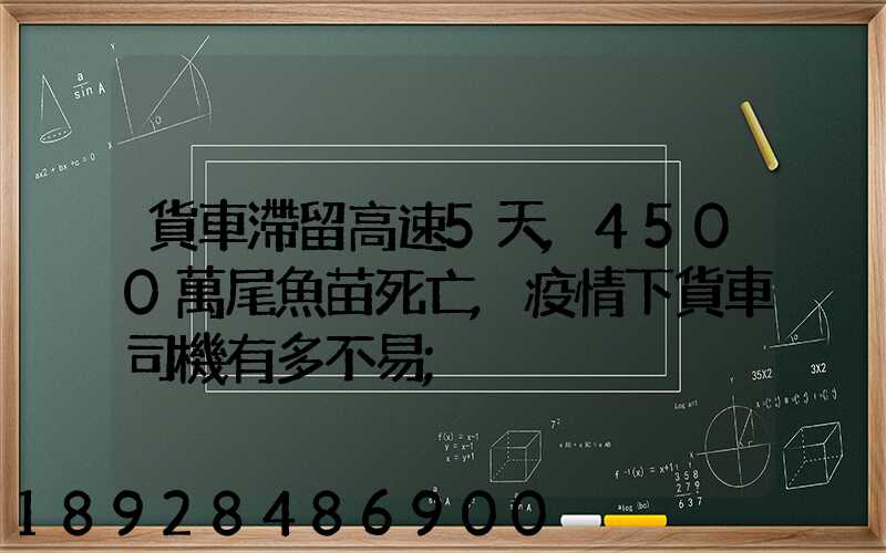 貨車滯留高速5天,4500萬尾魚苗死亡,疫情下貨車司機有多不易