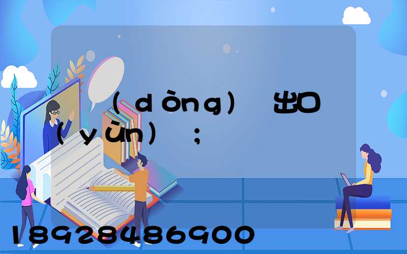 電動(dòng)車出口運(yùn)輸