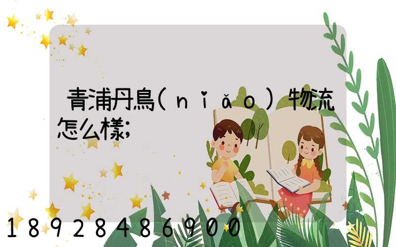 青浦丹鳥(niǎo)物流怎么樣
