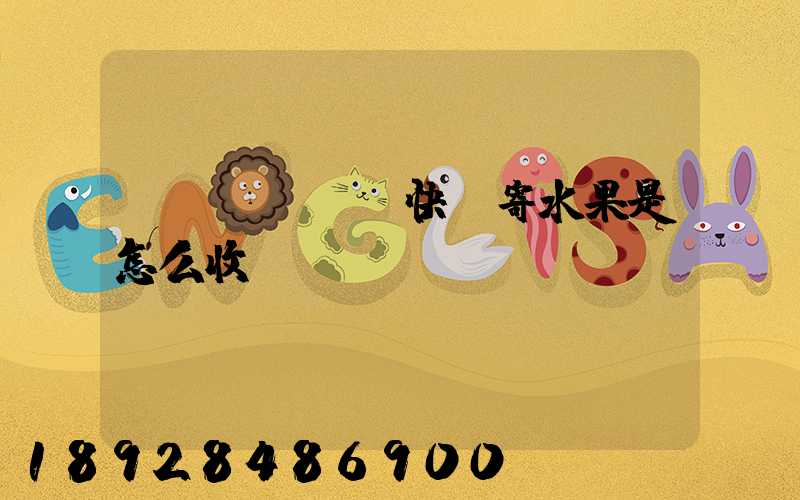 韻達(dá)快遞寄水果是怎么收費(fèi)